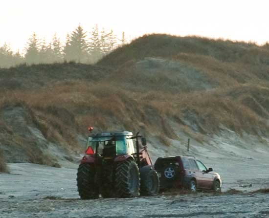strand_7641