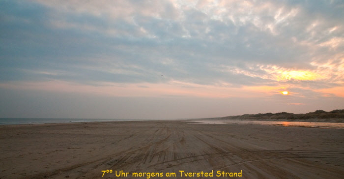 tversted_7846
