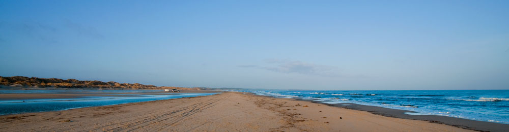 tversted_7879