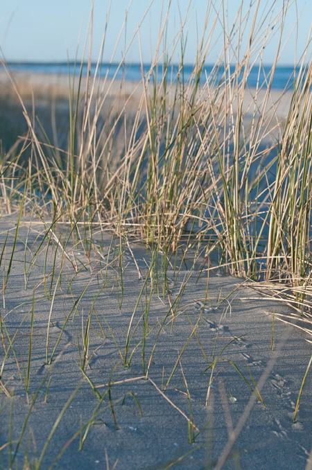Dünen