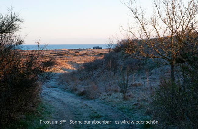 vester_tversted85