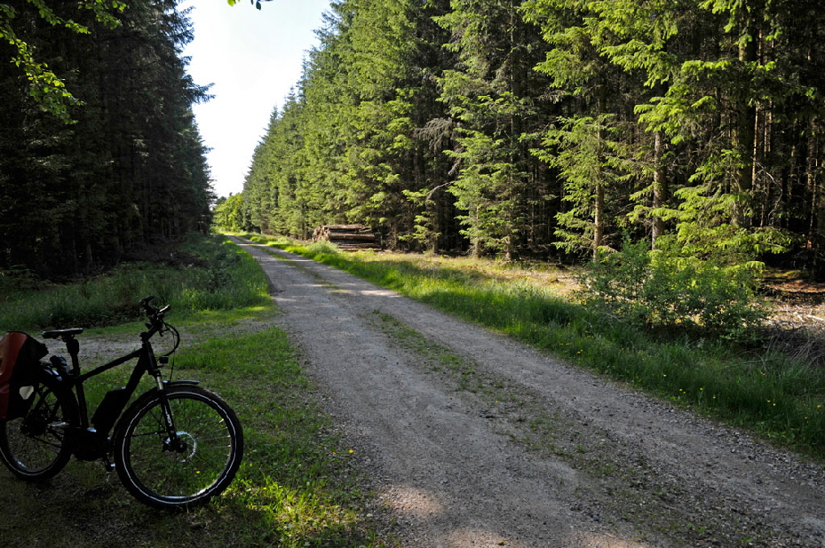 waldsee338