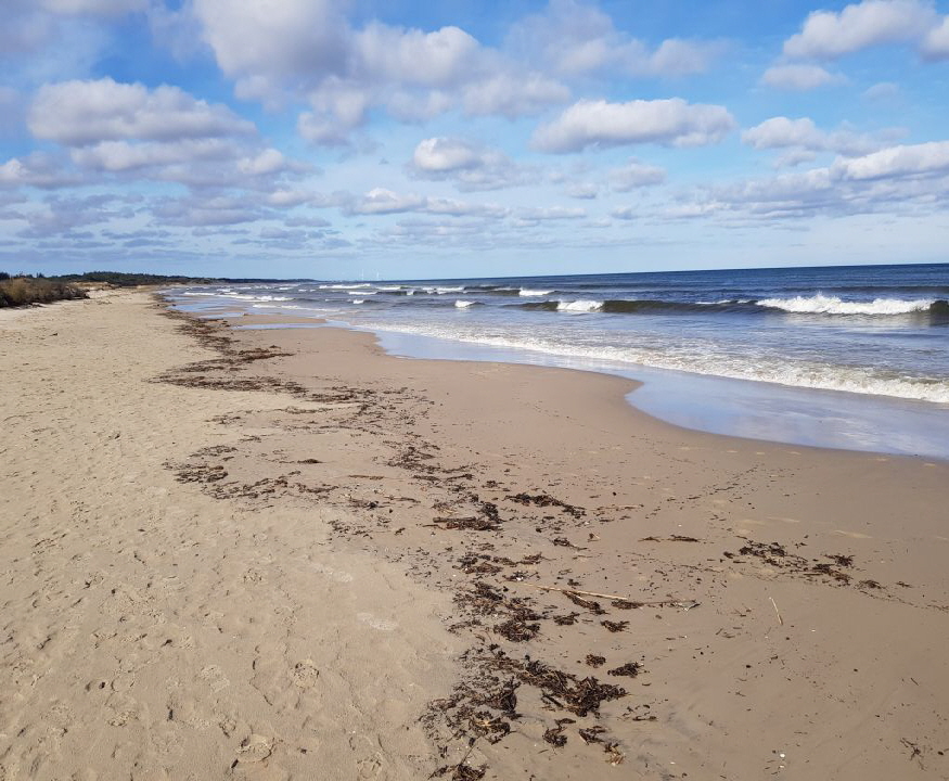 tversted_os 0118