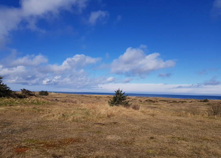 tversted_os 0124