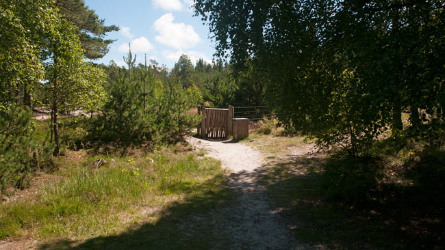 hundeskov24